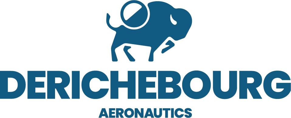 Firmenlogo: DERICHEBOURG Aeronautics