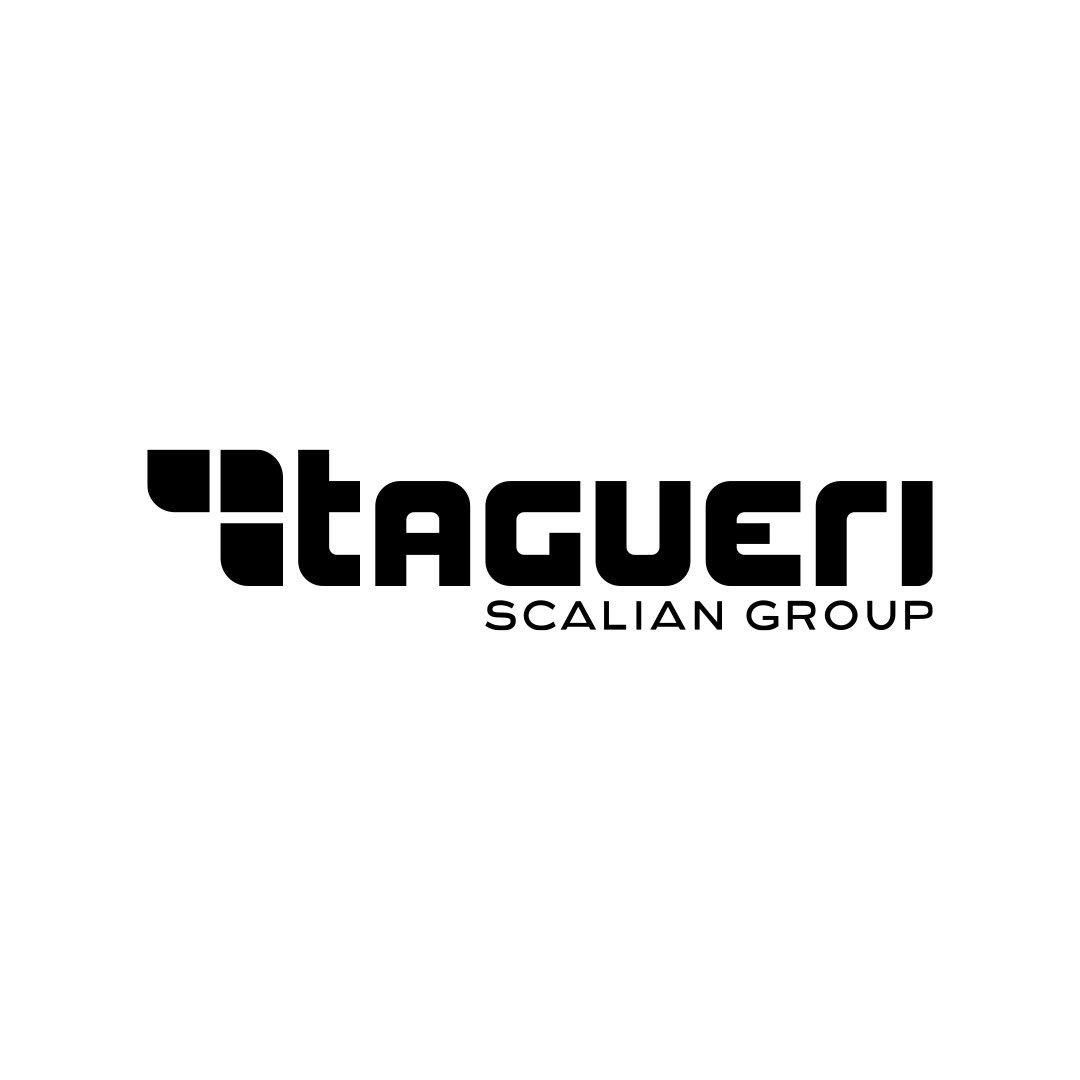 Firmenlogo: Tagueri AG