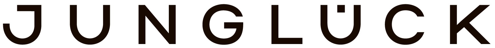 Firmenlogo: junglück GmbH