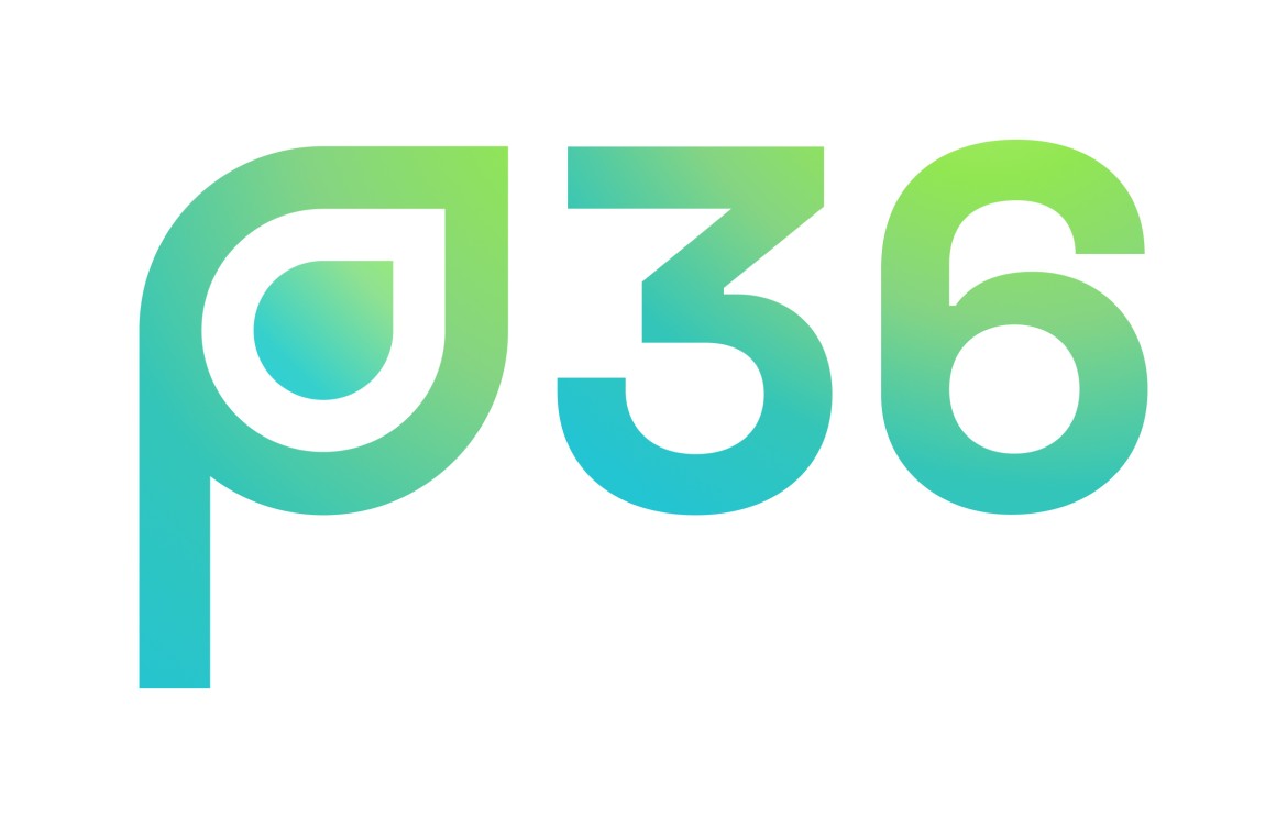 Firmenlogo: p36 GmbH