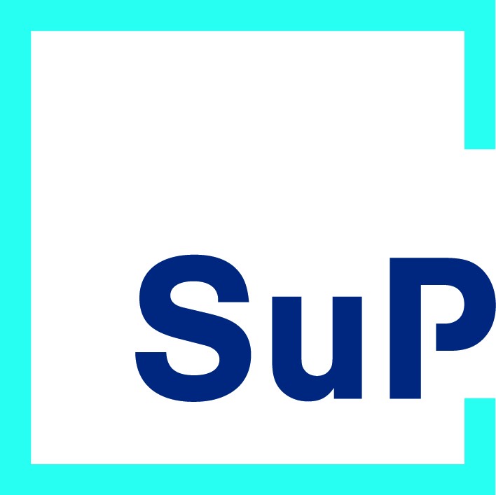 Firmenlogo: Dr. Schmidt und Partner Partnerschaftsgesellschaft Koblenz